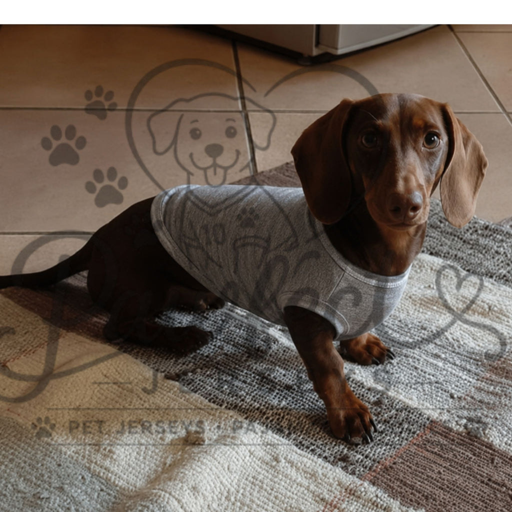 Polar Fleece Jersey Plain